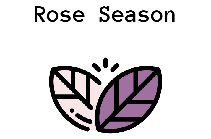 Rose Season